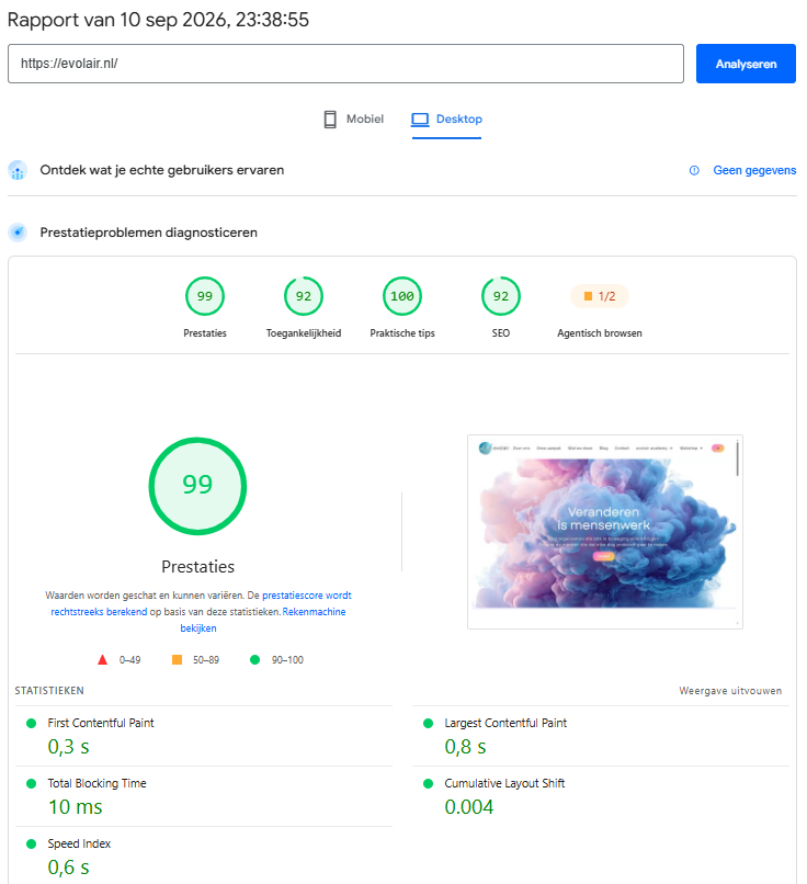 evolair desktop PageSpeed-rapport na optimalisatie, prestatiescore 99