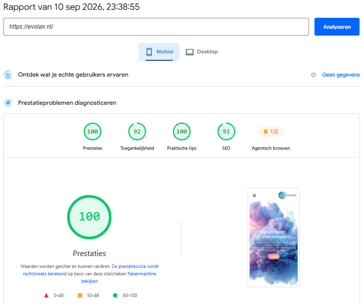 evolair mobiel PageSpeed-rapport na optimalisatie, prestatiescore 100