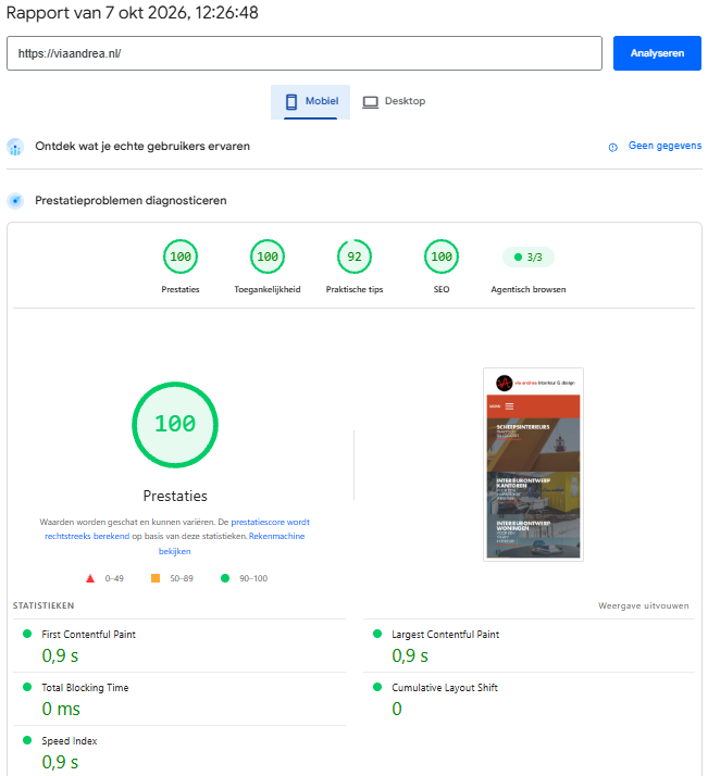 via andrea mobiel PageSpeed-rapport na optimalisatie, prestatiescore 100